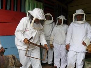 apicultorasnicarag
