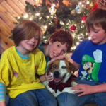 Una familia recupera a su  perra ciega perdida en Alaska