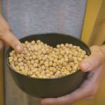 Garbanzos, las legumbres con mayor porcentaje de hidratos de carbono