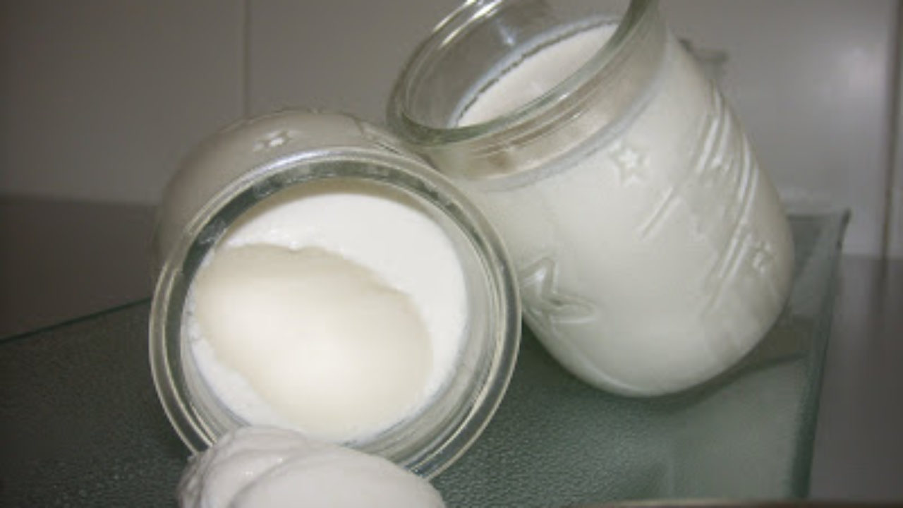Yogurt natural en microondas | Magia mi cocina Recetas fáciles cocina a paso