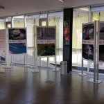 III. Exposición Itinerante “Peatón, no atravieses tu vida” (Centro de Juventud de Portugalete)