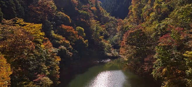 JAPÓN: Disfrutar de la naturaleza tokiota en Okutama