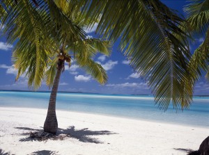 Aitutaki - Palm Trees on the Beach at One Foot - lagoon