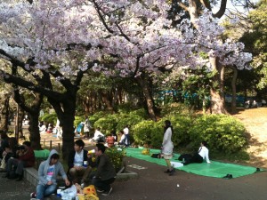 Parque de Ueno en Tokio, fiesta del cerezo