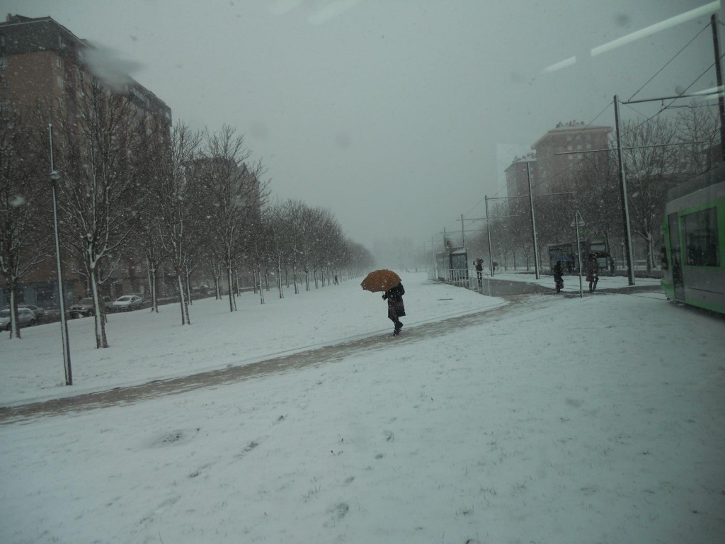 Primera nevada de 2012 en Vitoria-Gasteiz FOTO Mazé Oliveira